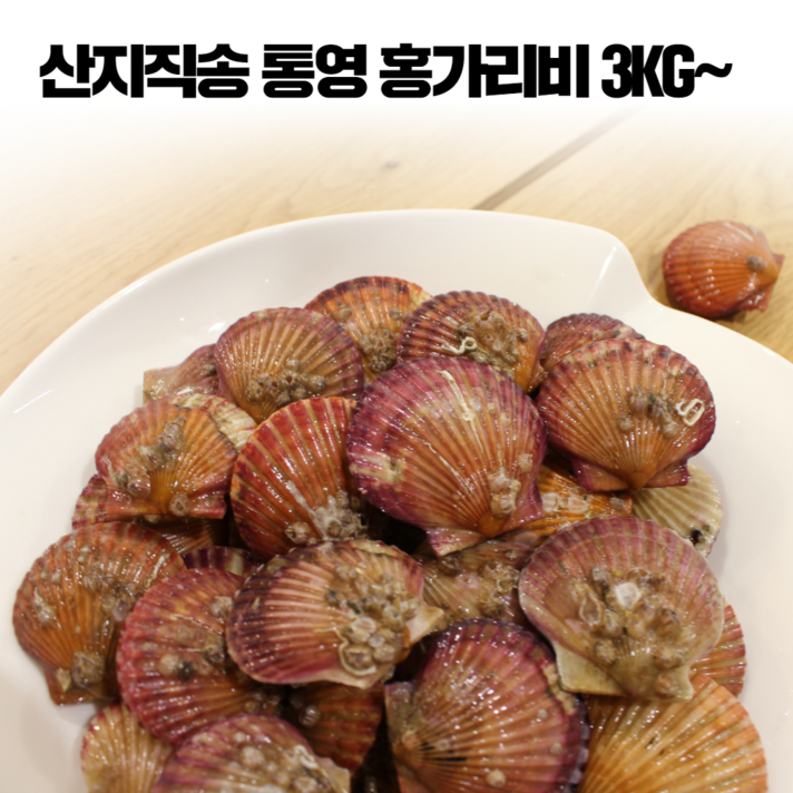 통영 홍 가리비 조개구이 제철 해산물 3kg 4kg 5kg, 통영 홍가리비 3kg