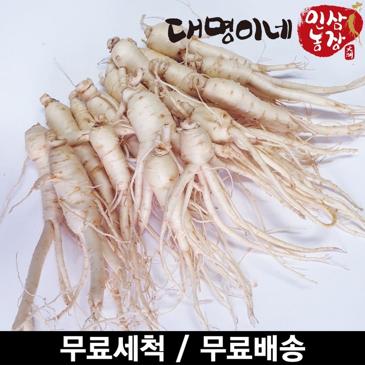 금산인삼 오쿠용 1회분 세척 인삼 수삼 난발 원삼(250g), 1개, 난발 15-25편(250g)