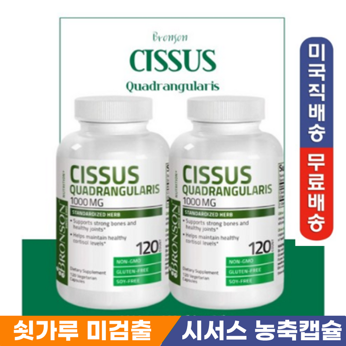 브론슨 시저스 가루 고농축 캡슐 다이어트 2병 240캡슐 분말 체중조절 cissus, 단일상품, 단일상품