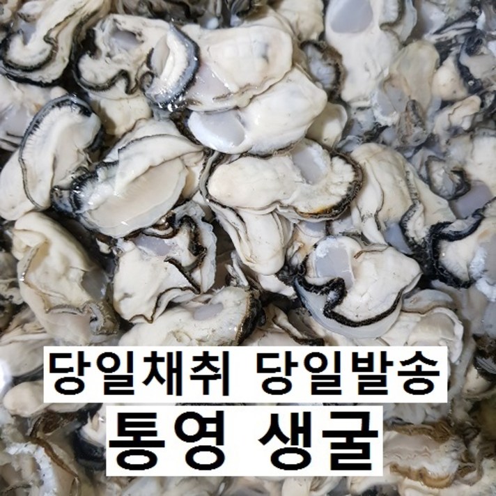 통영 생굴 3kg 5kg (오후 5시 이전 주문시 당일발송), 1박스