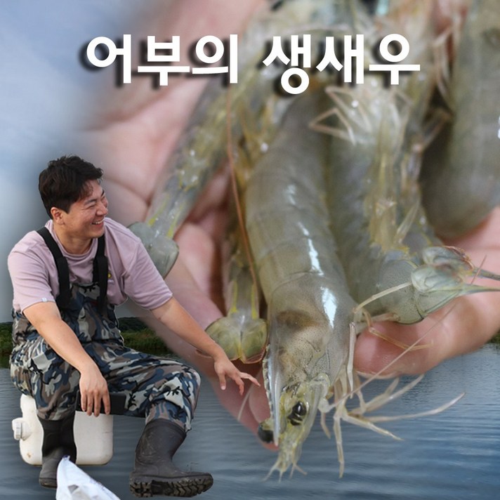 강대표(23미) 대한민국 최대사이즈보증 / 밤바다양식장 생새우 왕새우
