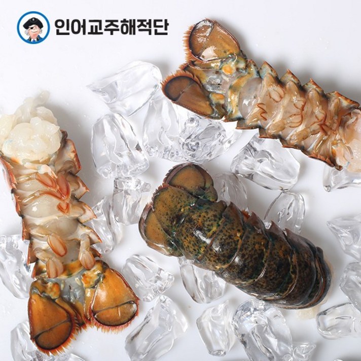 인어교주해적단 냉동 랍스터테일 1개 110-140g, 냉동 랍스터 테일 중
