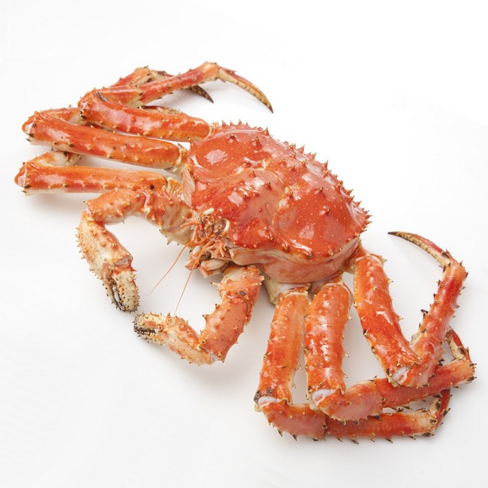크랍스타 자숙 킹크랩, 1마리, 3.5kg