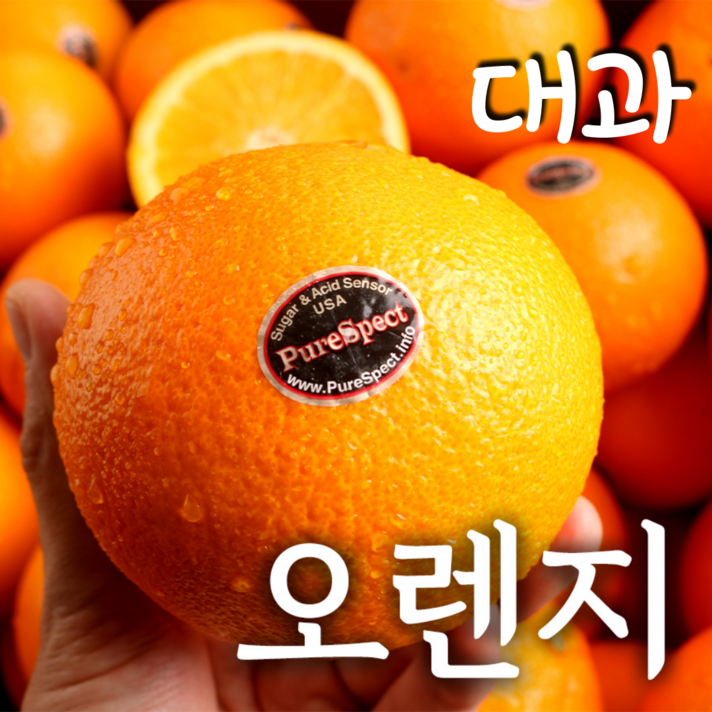 푸릇푸릇 고당도 블랙라벨 오렌지 캘리포니아오렌지 대과 250g, 오렌지 대과 250g내외 12과