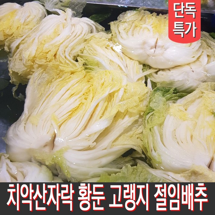 직접재배하고 절인 강원도 고랭지 90일 절임배추 20kg 7~9포기 특상품, 12월 10일(목) 출발 11일(금) 도착
