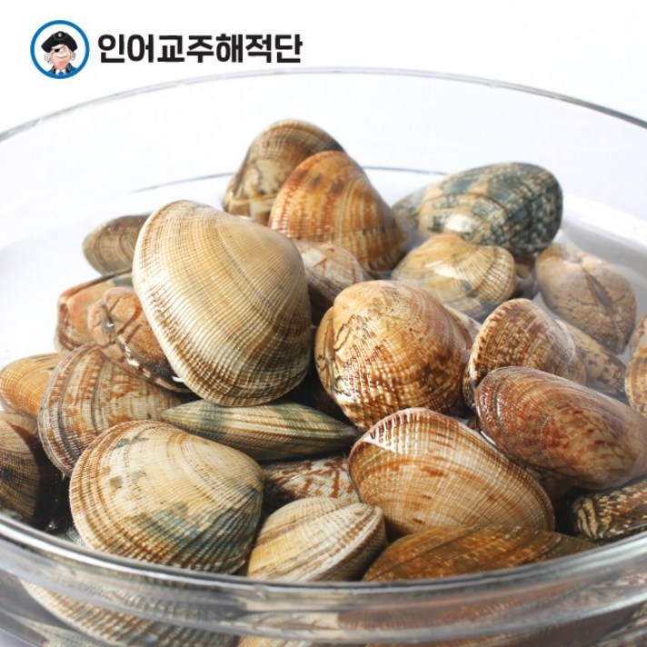 인어교주해적단 남해안 활 다이버 바지락 1kg, 1개, 남해안 활 바지락 1kg