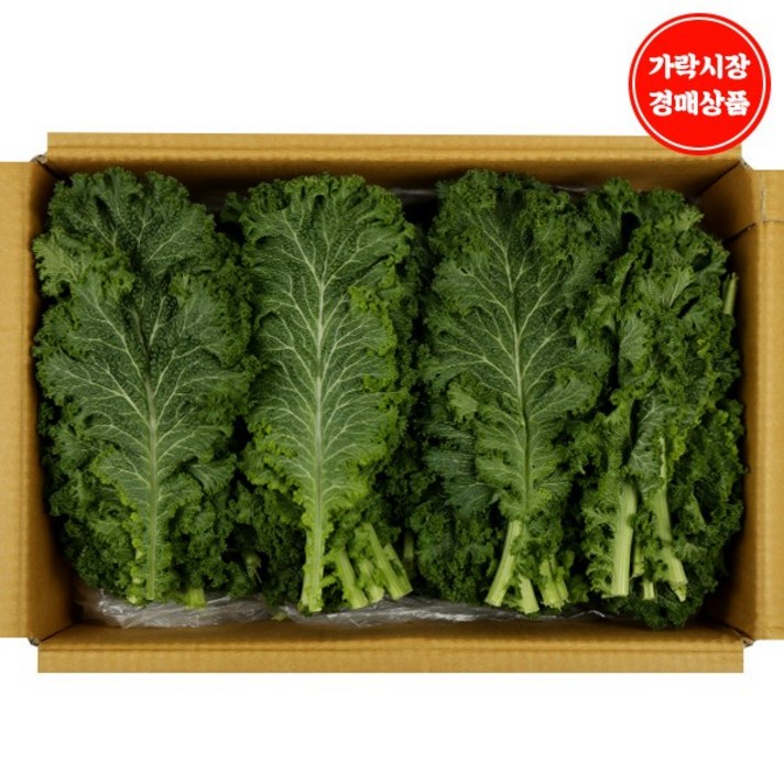 [가락시장 경매 식자재 채소] 겨자잎 2kg내외, 1box