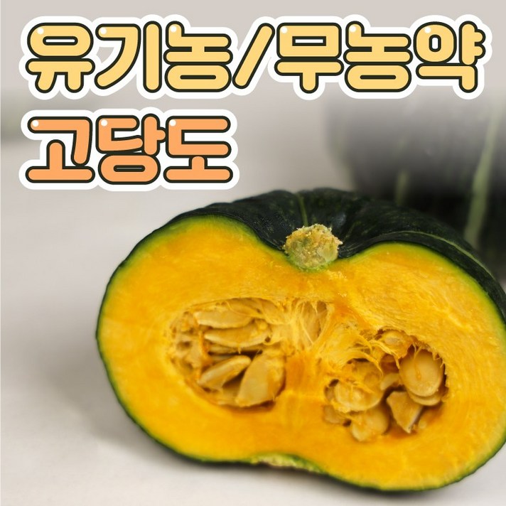[무농약유기농산물] 함평 밤호박 미니 5kg 10kg 국산 남해 미니 밤단호박 친환경 단호박 ( 미니 밤호박 ) 유기농 다이어트 국내산 해남 제주 밤호박미니, 1.1kg