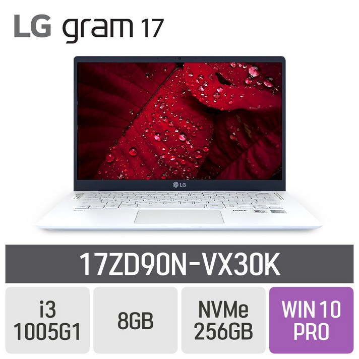 LG 그램17 2020 17ZD90N-VX30K, 8GB, SSD 256GB, 포함