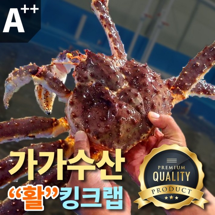 가가수산 킹크랩, 1마리, 생물배송3K