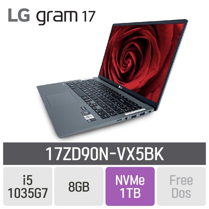 LG 그램17 2020 17ZD90N-VX5BK, 8GB, 1TB, 미포함