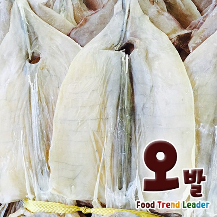 [오후의발견(오발)] 마른오징어 5마리, 1팩, 약 250g