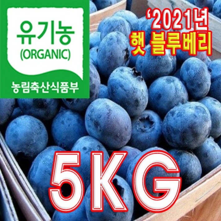 햇님농원 국산 유기농인증 블루베리 생과 대과 최상품 선물용[예약판매], 1개, 5KG