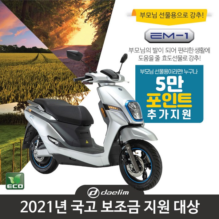 대림전기오토바이 EM-1 정부보조금 부모님 추가지원, 단품