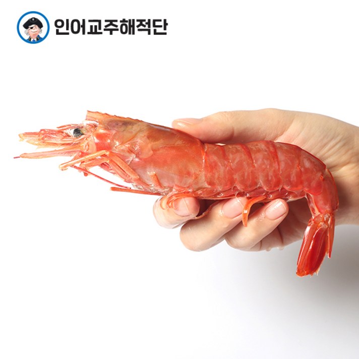 인어교주해적단 냉동 새우 1마리 골라담기 흰다리새우 홍새우 킹 블랙타이거새우 킹타이거, 홍새우 대