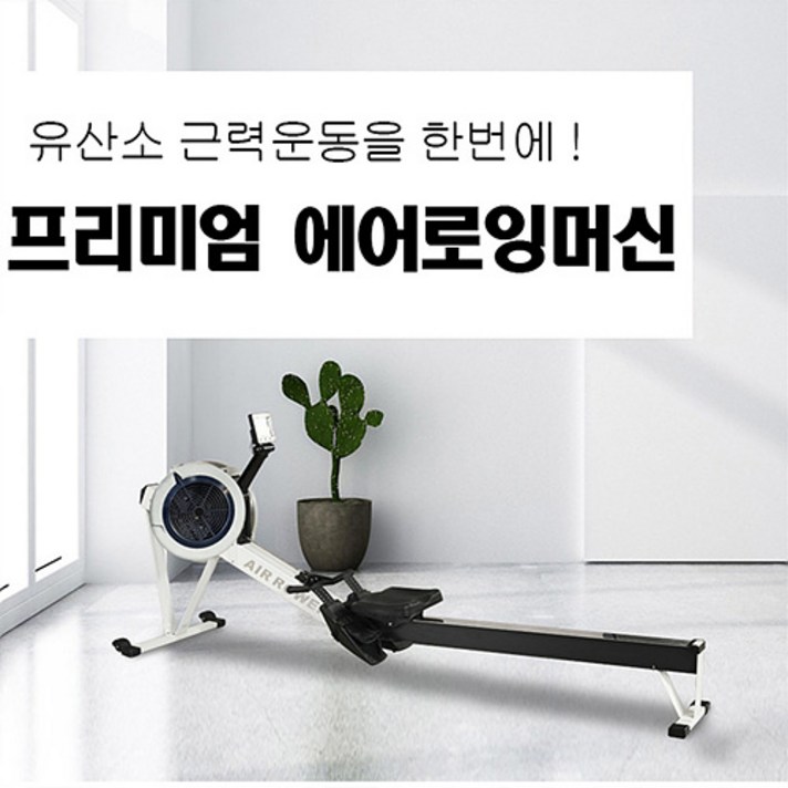 가정용 에어 로잉머신 접이식 홈트레이닝 운동기구 CONCEPT2, 화이트