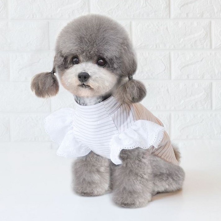 조앤1JO_크라우드 반려동물 평상복 _RMX15418ML, 핑크=S