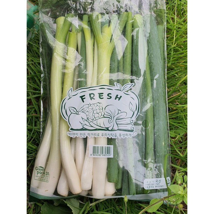 간편대파 1kg {당일수확}