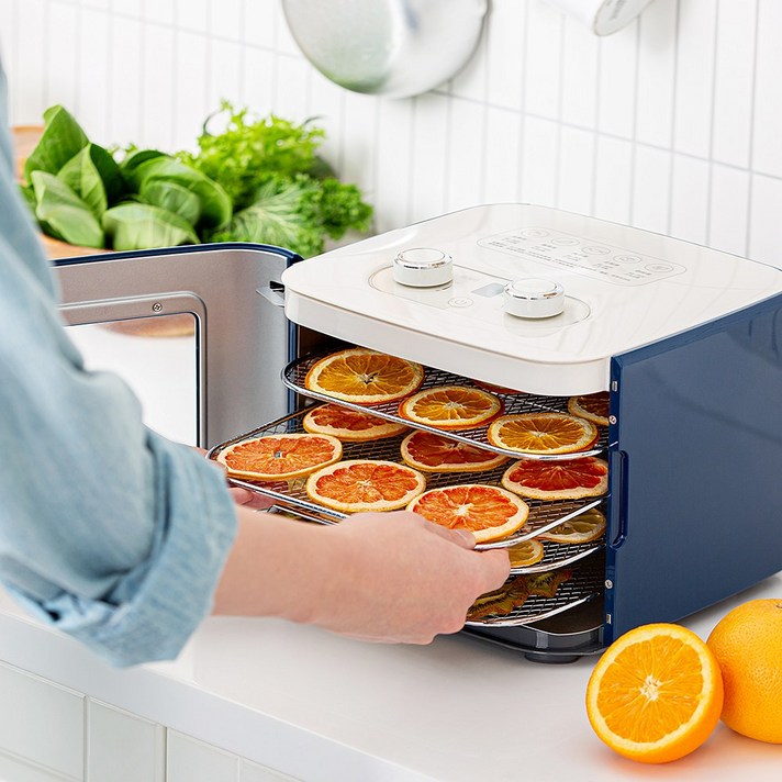 리큅 식품건조기 미니 LD-401SP [4단 스텐 트레이], 블루(Blue)