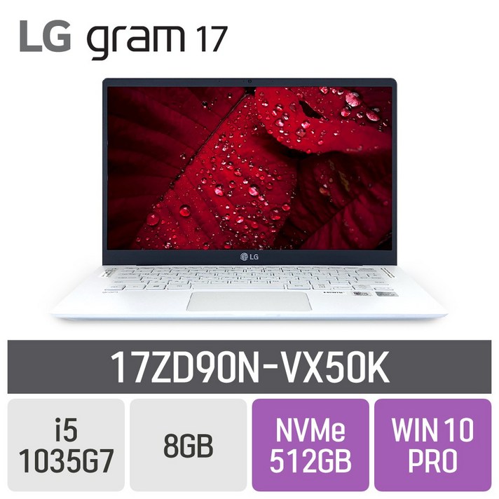 LG 그램17 2020 17ZD90N-VX50K, 8GB, SSD 512GB, 포함