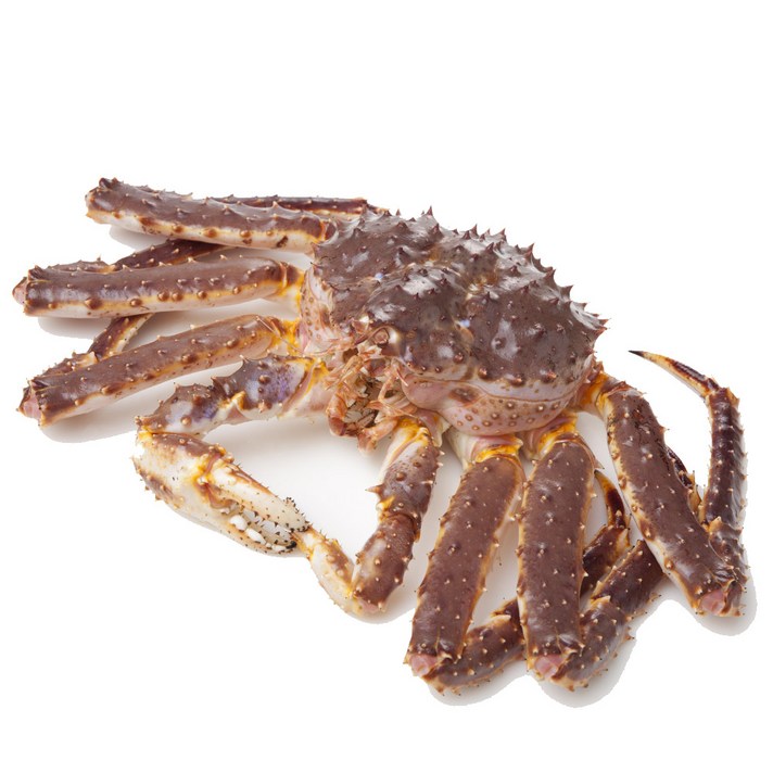 크랍스타 활 킹크랩, 1마리, 2kg
