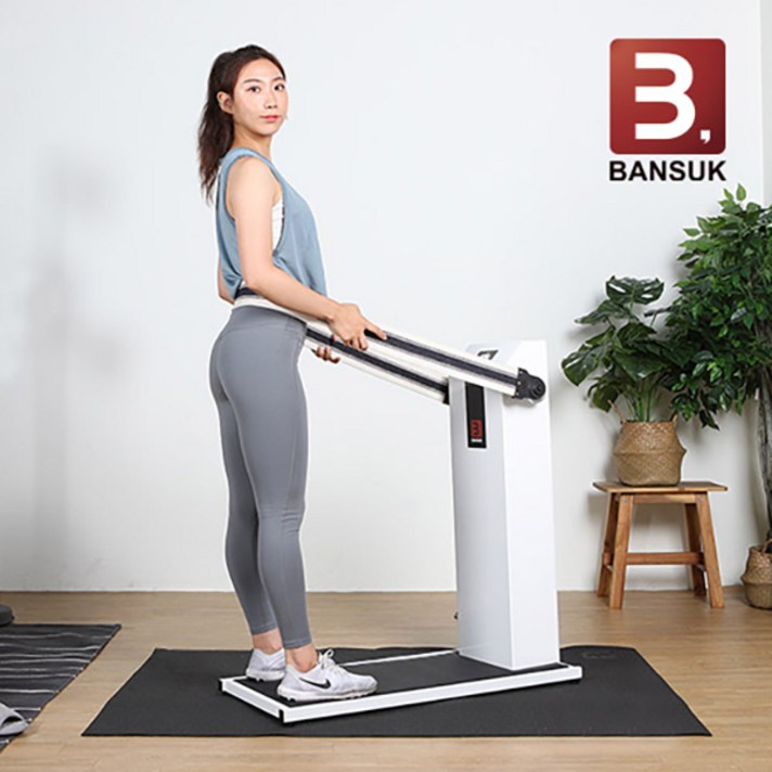 비에스 헬스용품 K벨트마사지기, 단품