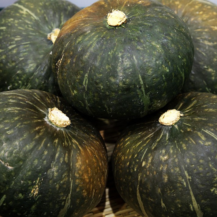 [산정] 국내산 단호박, 단호박 5kg