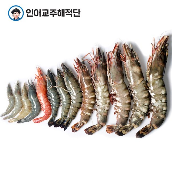 인어교주해적단 냉동 새우 1마리 골라담기 흰다리새우 홍새우 킹 블랙타이거새우 킹타이거, 1개, 구이용 소금 400g