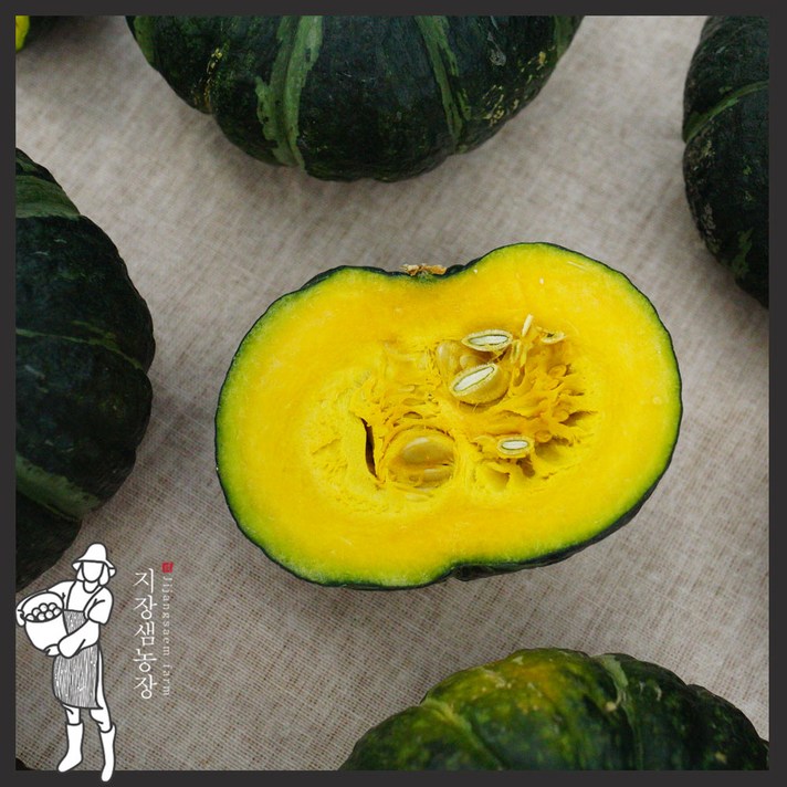 지장샘농장 달콤 포근한 제주 미니(밤)단호박 보우짱, 미니(밤)단호박 3kg(7-12개)