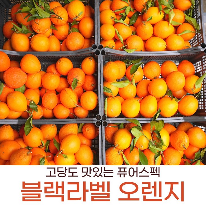 오렌지고당도 썬키스트 블랙라벨퓨어스펙 캘리포니아산 중과, 오렌지 로얄 중과 30과 5.8~6kg