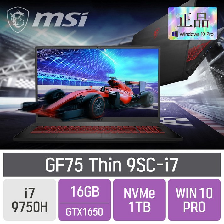 MSI GF75 Thin 9SC-i7 파워팩 [게이밍마우스 증정], 16GB, SSD 1TBGB, WINDOW10PRO