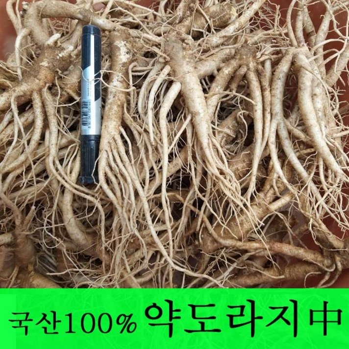 [금산도라지] 직접재배한 생도라지1kg >산지직송>국산도라지 약도라지 엑기스용 나물용 무침 정과용 배즙용 *도매전문*, 1개, 약도라지(中) 1kg”>		</div>
<div class=