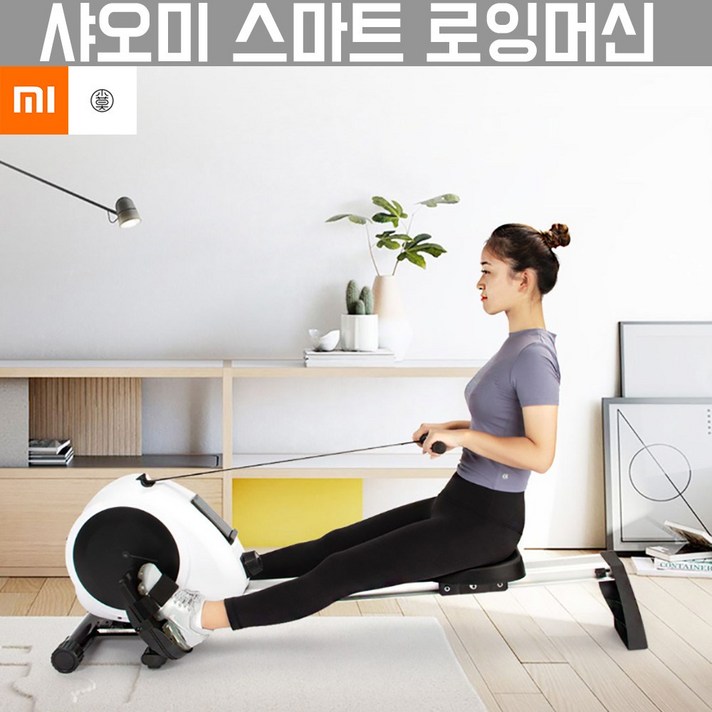 샤오미 스마트 로잉머신