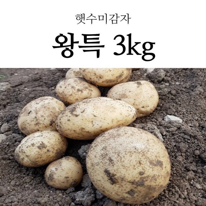 국내산 포슬포슬 햇 감자 햇감자 수미감자 홍감자 3kg, 1box, 햇 수미감자 왕특 3kg