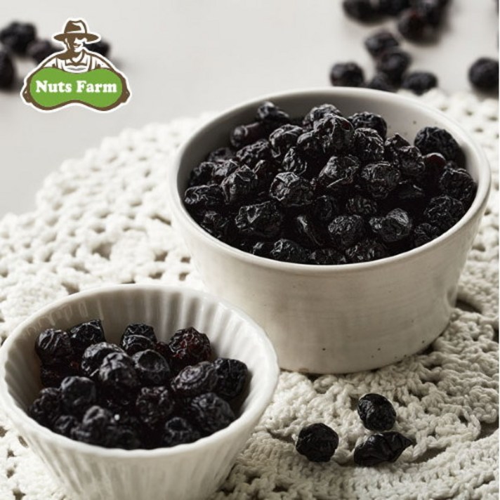 넛츠팜 [넛츠팜] 건 블루베리 300g x 2봉/총 600g, 단품없음
