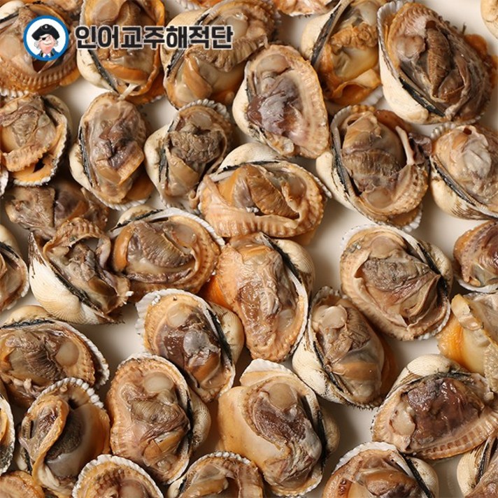 인어교주해적단 여수 새꼬막 1kg 중 대사이즈, 1개, 중 사이즈 1kg