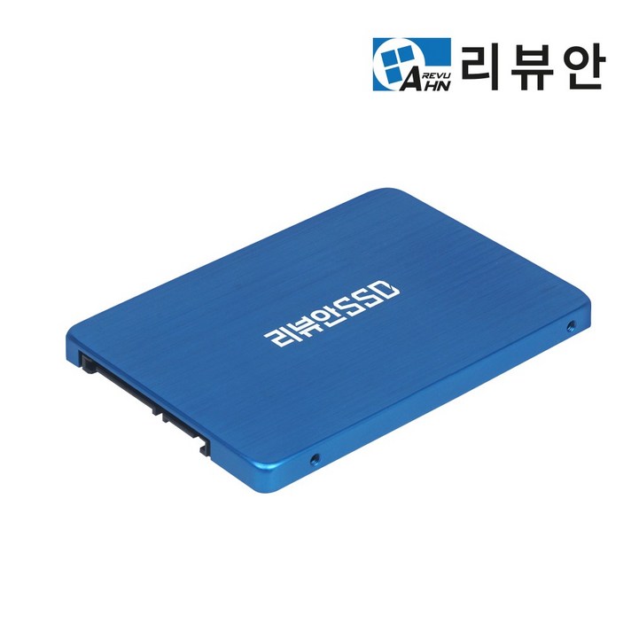 리뷰안 900G 비즈 2.5인치 SATA SSD, 256GB, 900G 비즈[SATA]