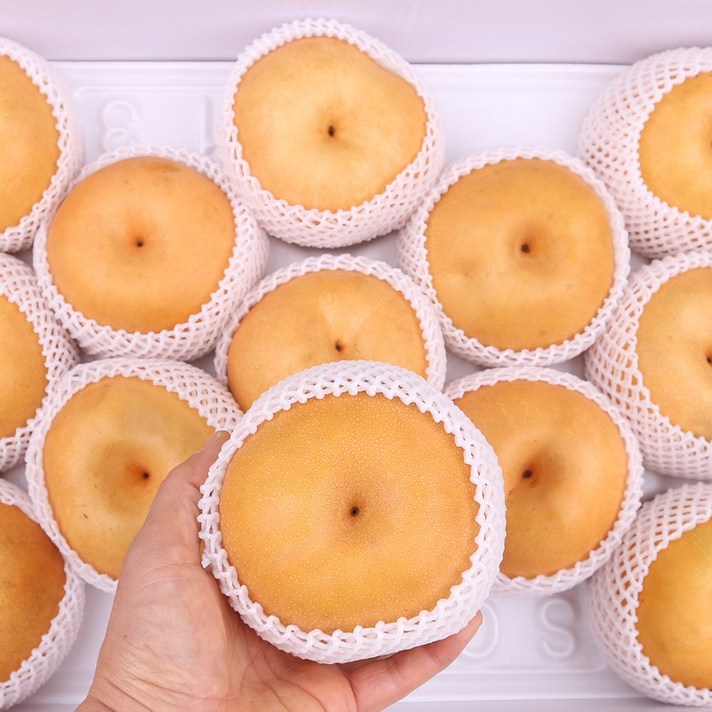 흠집배(상)15kg 팔팔마켓 못난이 국내산 신고배, kg