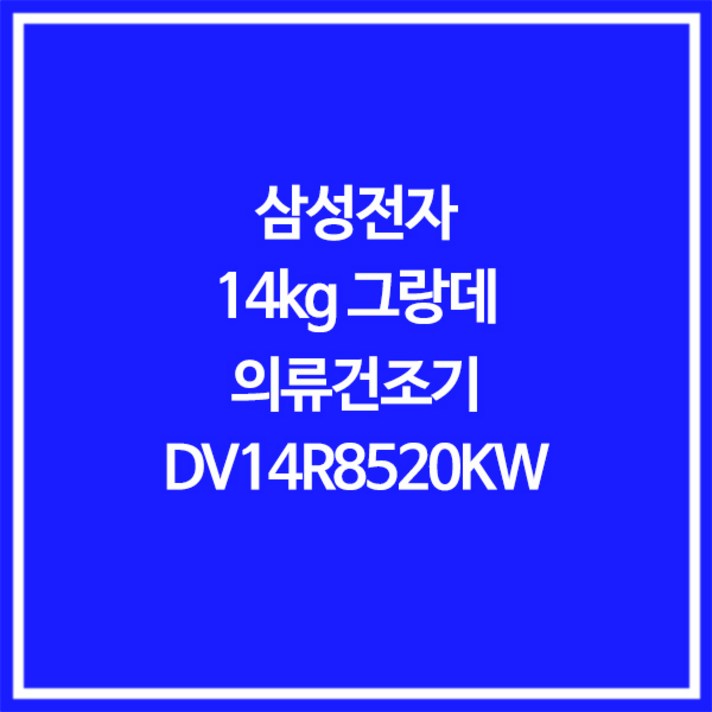 삼성전자 14kg 그랑데 건조기 화이트 DV14R8520KW