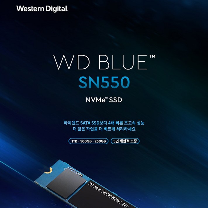 Western Digital WD Blue SN550 M.2 2280 NVME방식 SSD, 250GB