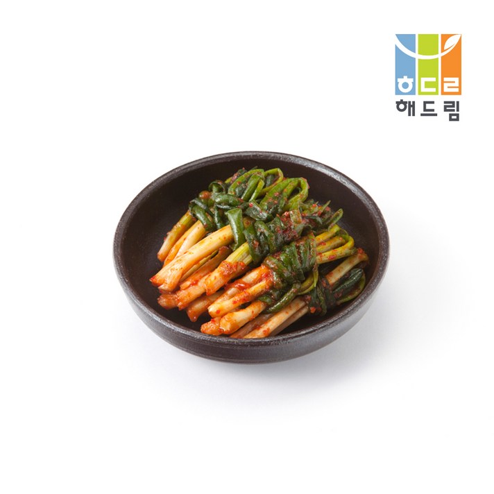 해드림 파김치2.5kg, 단품