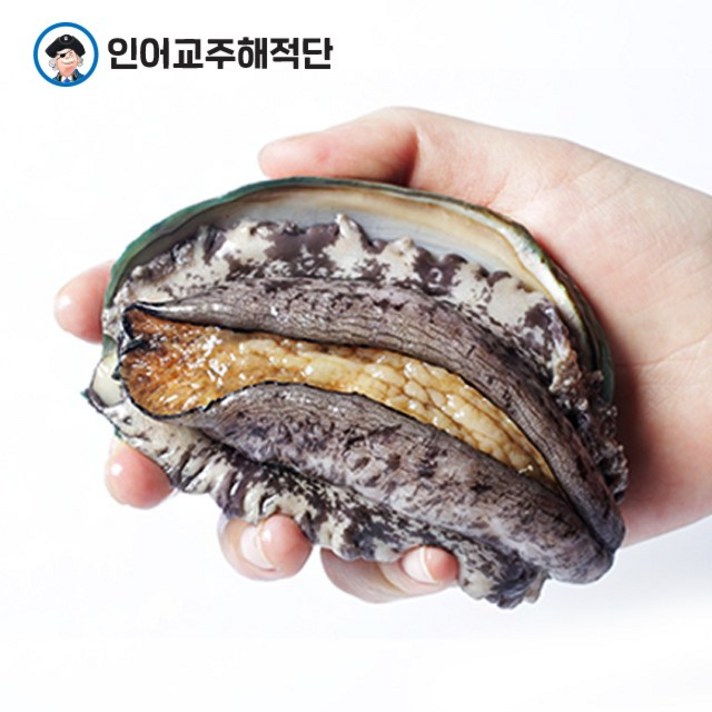 인어교주해적단 산지직송 완도 전복 1kg (5미-50미), 1개, 중 12-13미 1kg