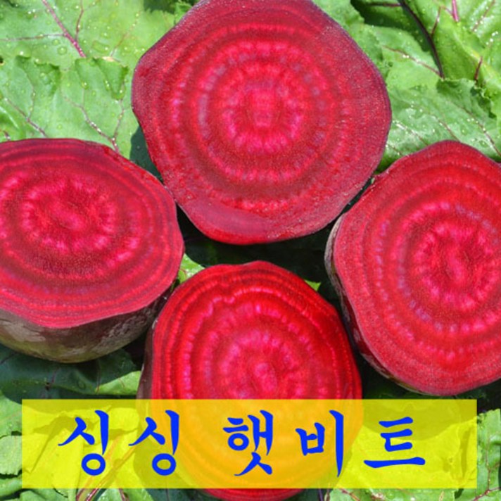 주스용 못난이 국산 레드비트 10kg 1BOX