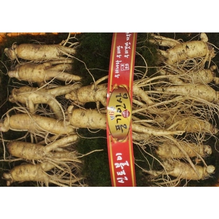 풍기인삼 선물용 수삼선물세트 750g 정품 5년근 6년근 원수삼 구성, 1세트, 삼쟁이3호세트 750그램(12-15뿌리)