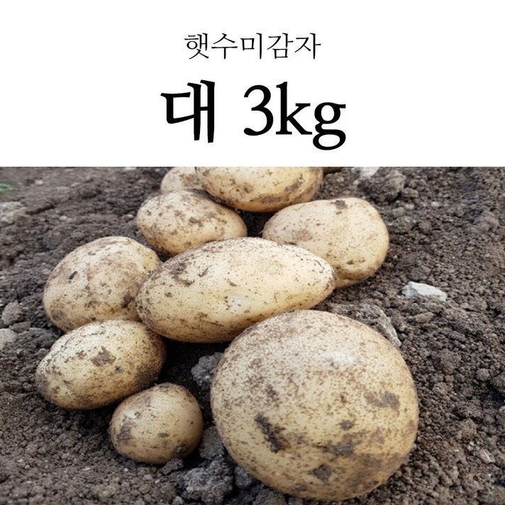 국내산 포슬포슬 햇 감자 햇감자 수미감자 홍감자 3kg, 1box, 햇 수미감자 대 3kg