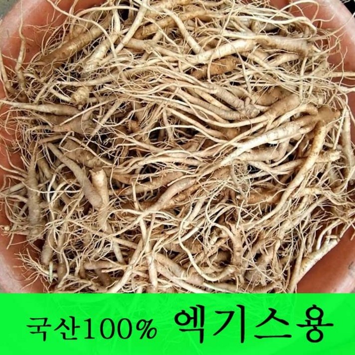 [금산도라지] 직접재배한 생도라지1kg >산지직송>국산도라지 약도라지 엑기스용 나물용 무침 정과용 배즙용 *도매전문*, 1개, 엑기스용도라지 – 1kg”>		</div>
<div class=