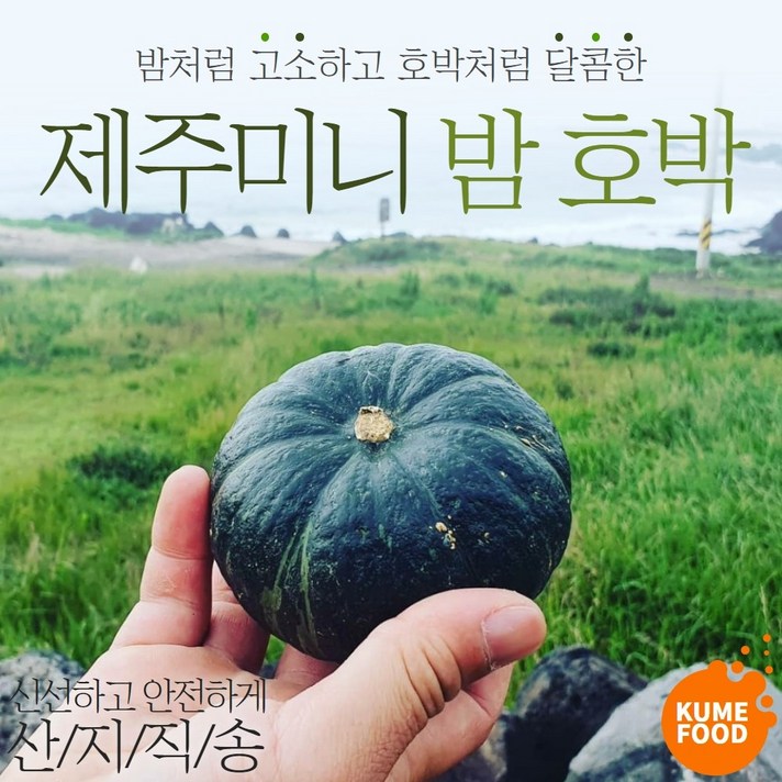 [재구매율 98%] 쿠메푸드 제주 산지직송 미니 밤호박 보우짱 특 사이즈 가정용 밤호박 3kg, 2. 미니 밤호박 (특) 3kg