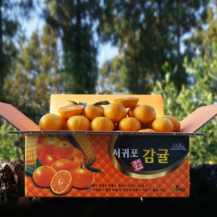 [귤담원] 귤담원 제주 제철 감귤, 1박스, 09.감귤 5kg 대과