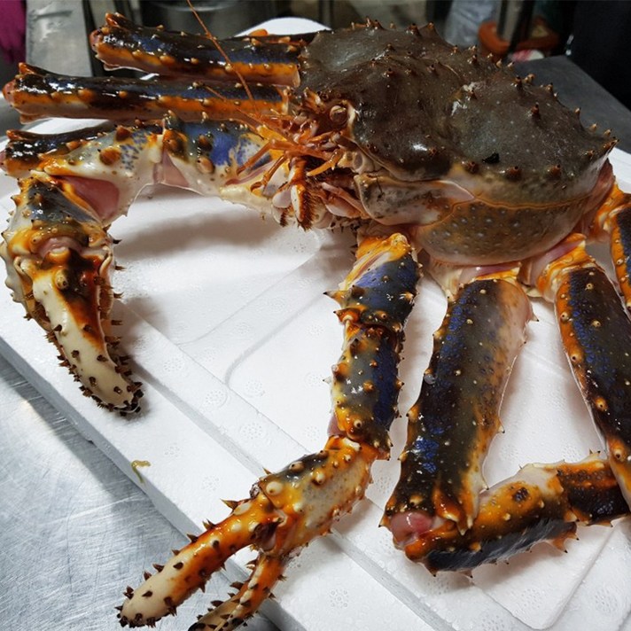 꽉 찬 수율 갑각류 대왕 꽃게 반 라이브 킹크랩 2.5kg, 1