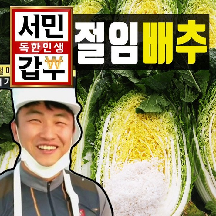 [해남서민갑부절임배추] 절임배추20kg 받는날짜정해주세(11월10일~1월), 20kg, 서민갑부 절임배추(11월10일~1월예약)주문시 받는날짜적어주세요 잘안되시면 전화주세요